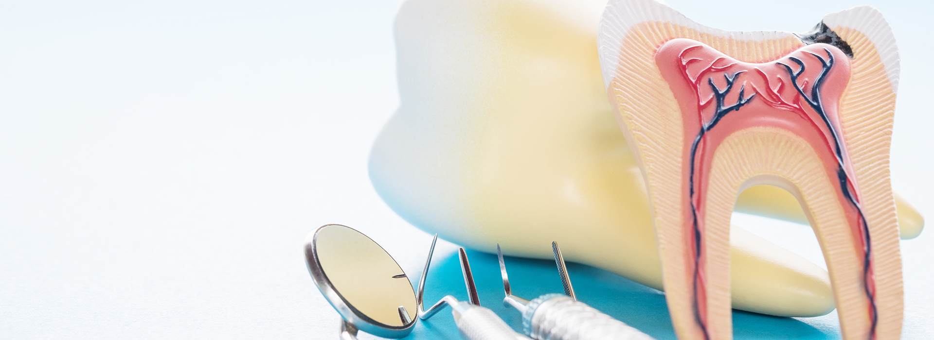 The image shows a close-up of a dental model with a toothbrush and dental floss, set against a blue background.